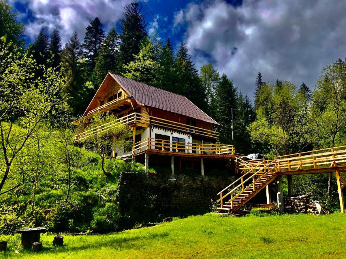 Cabana Cota 1000 Arieseni Arieşeni Exterior foto