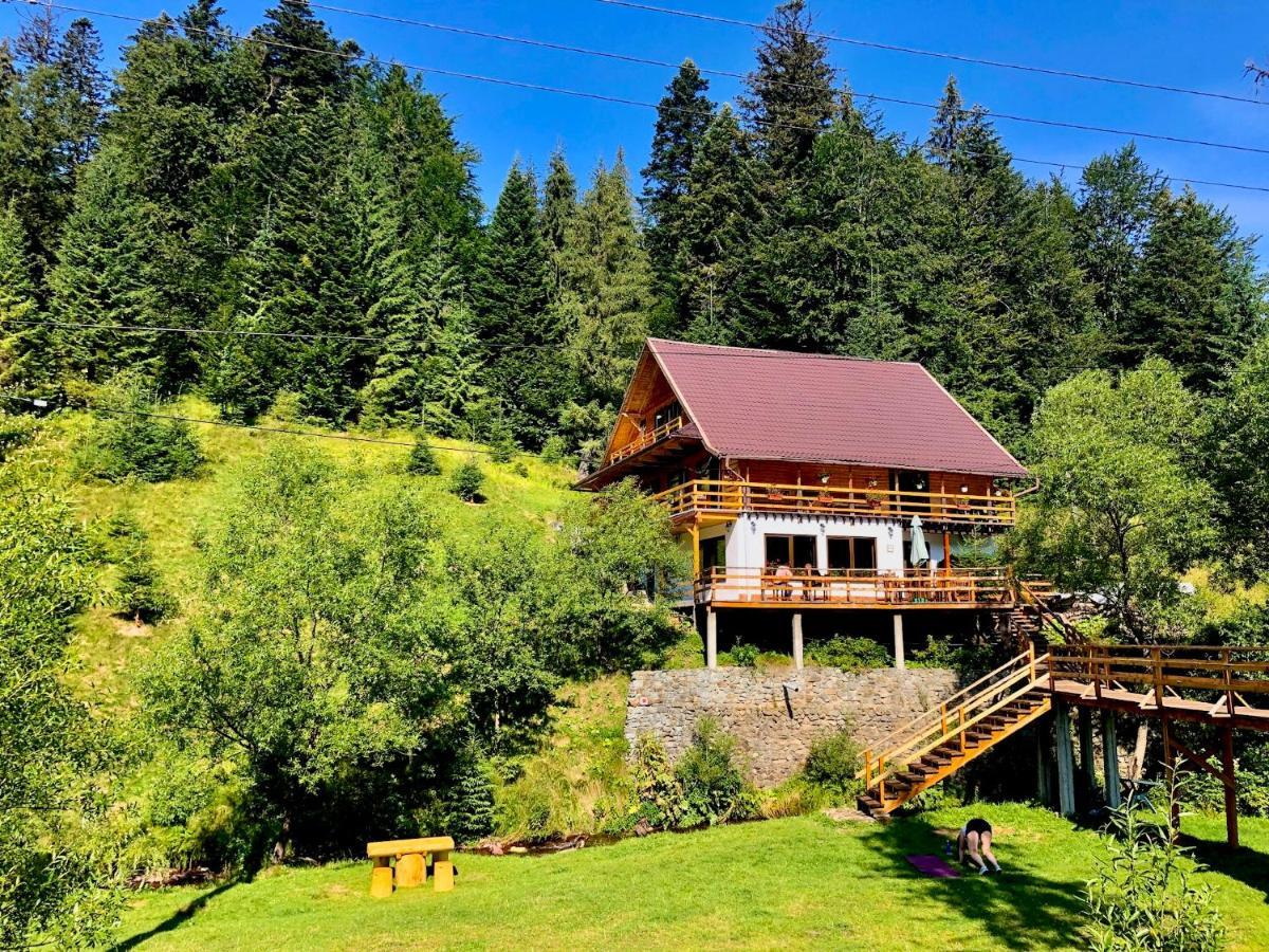 Cabana Cota 1000 Arieseni Arieşeni Exterior foto